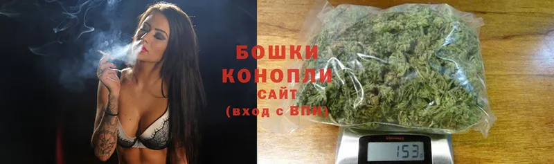 Шишки марихуана конопля  наркотики  Котельнич 